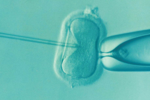 JEF 2019 - Panel 3